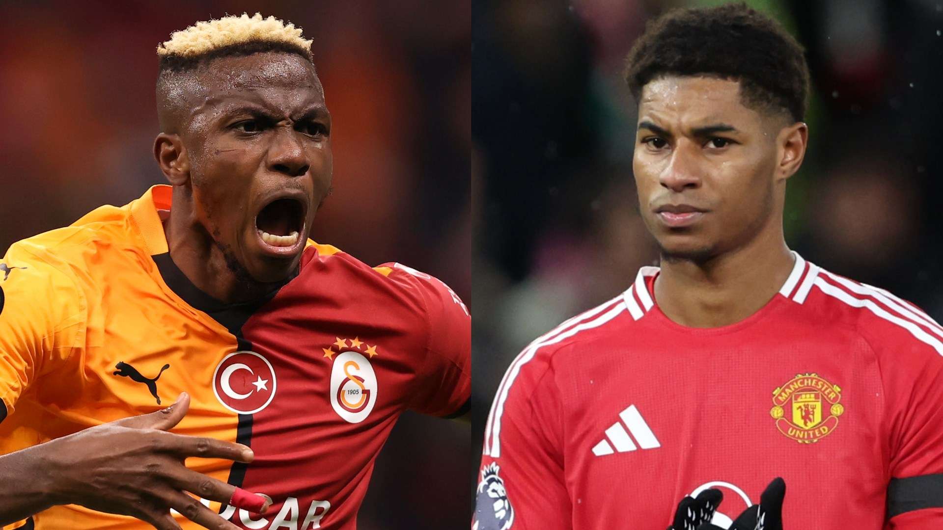 果更加真实 果更加真实